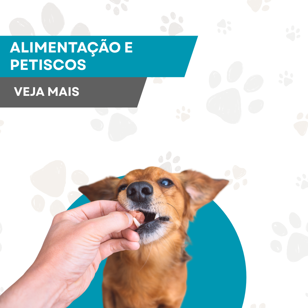 Alimentação e Nutrição