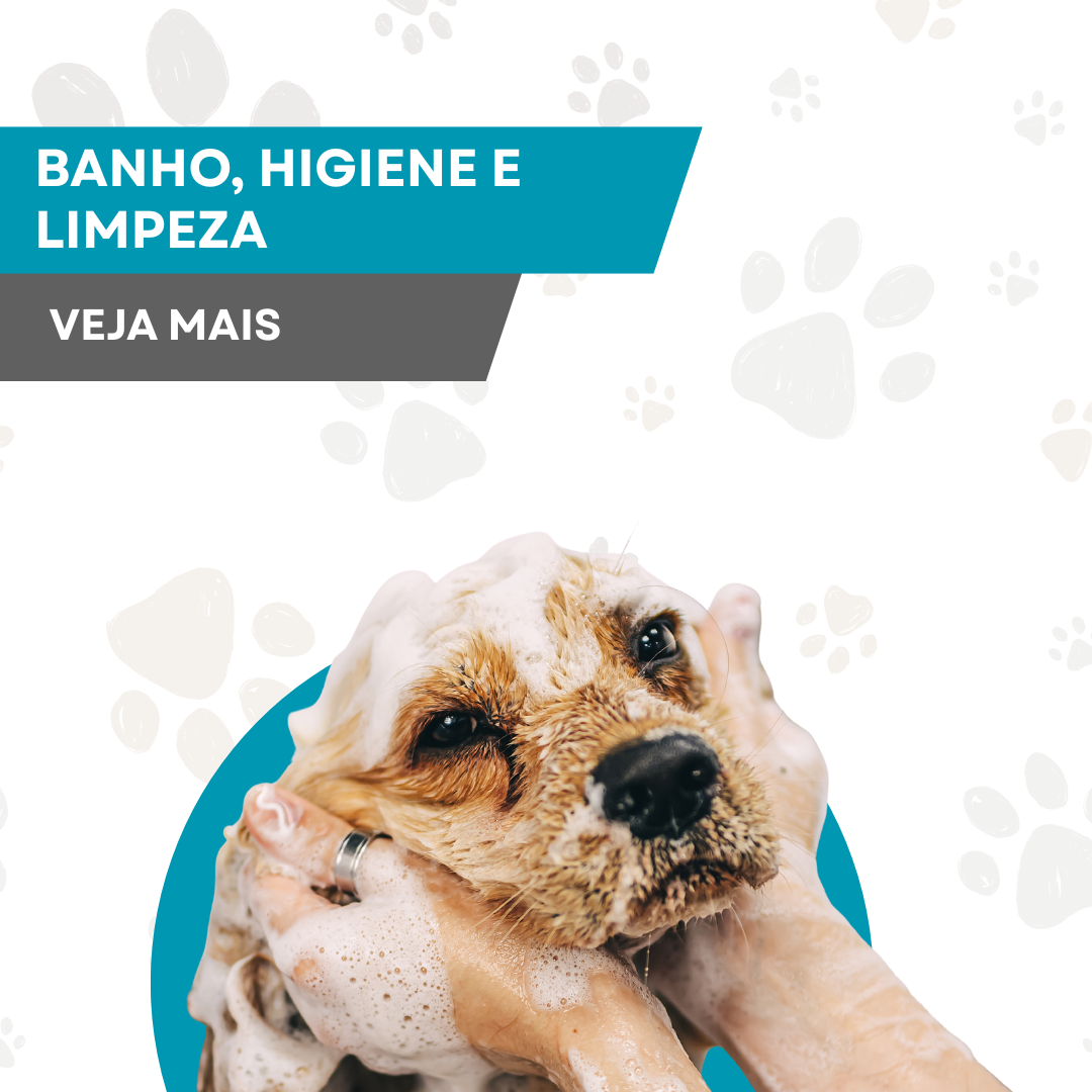 Banho, Higiene e Limpeza