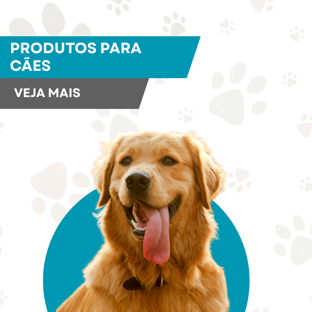 Produtos para Cães
