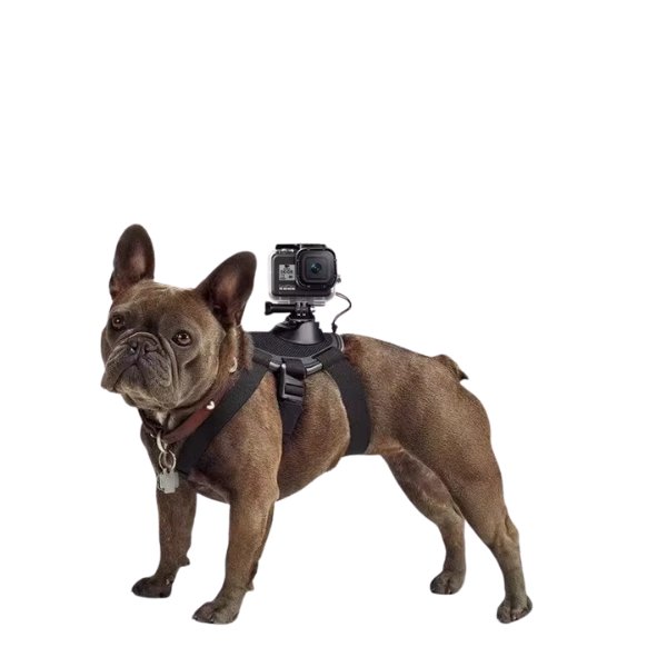 Suporte de Câmera para Pets