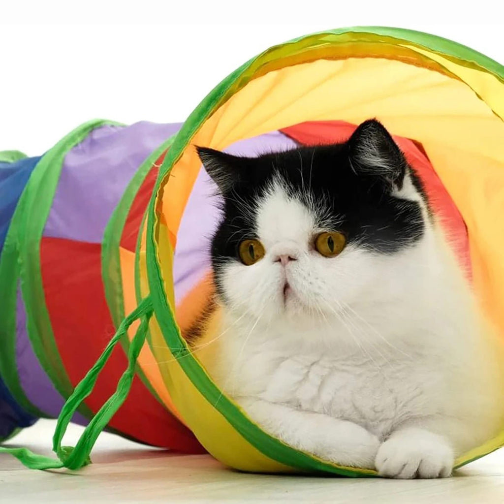 Tubo de túnel para gatos