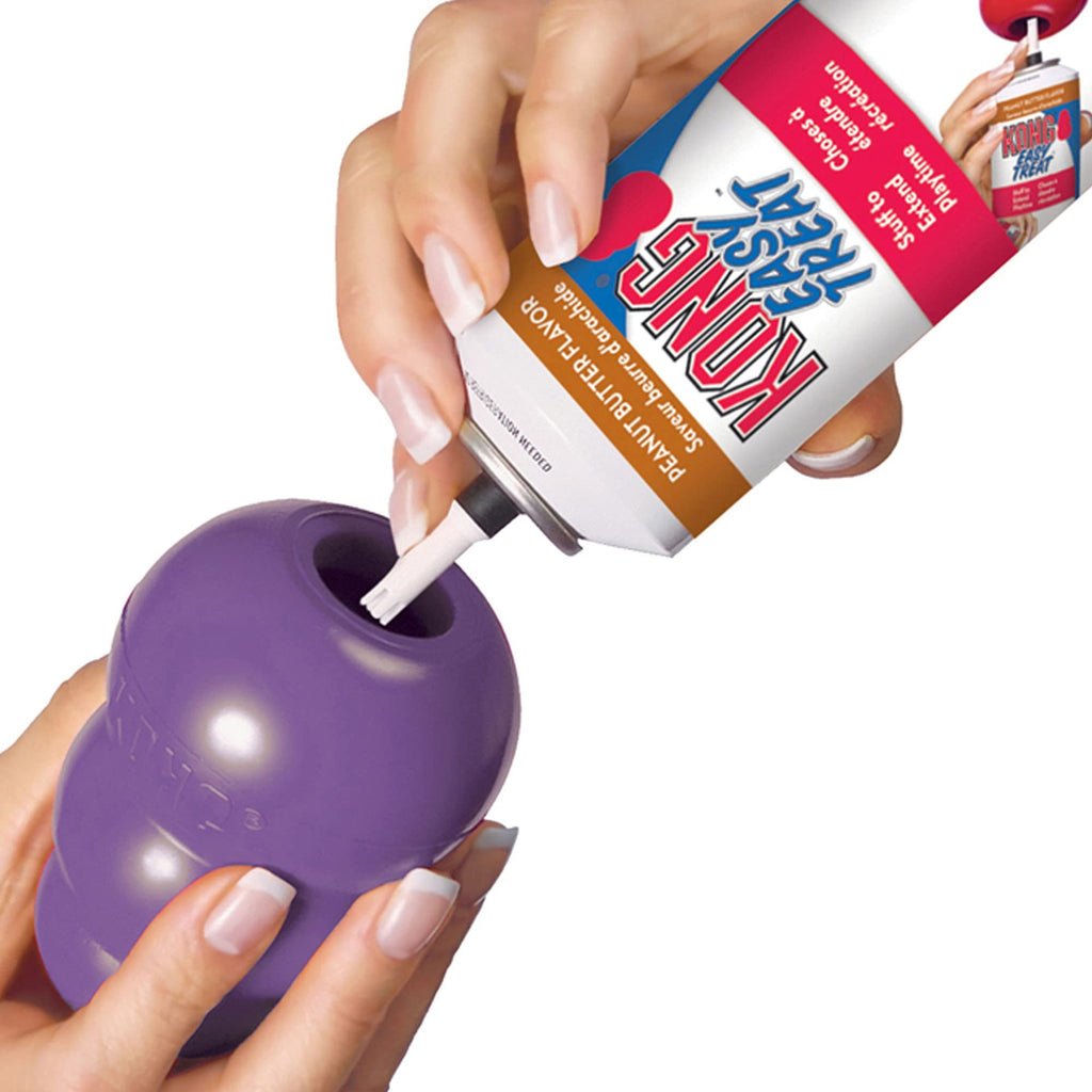 Kong brinquedo interativo