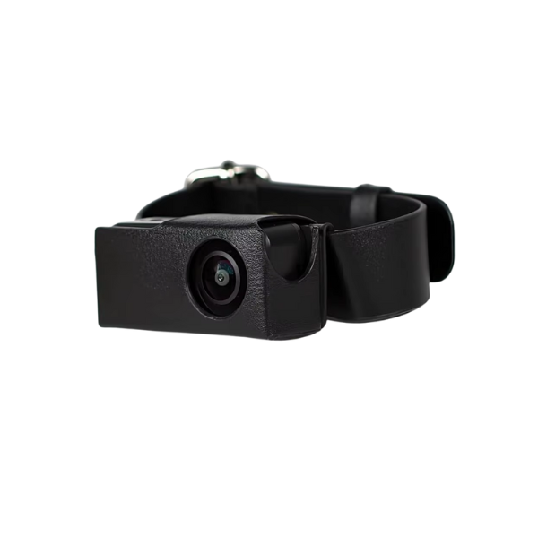 Coleira com Câmera para Pets