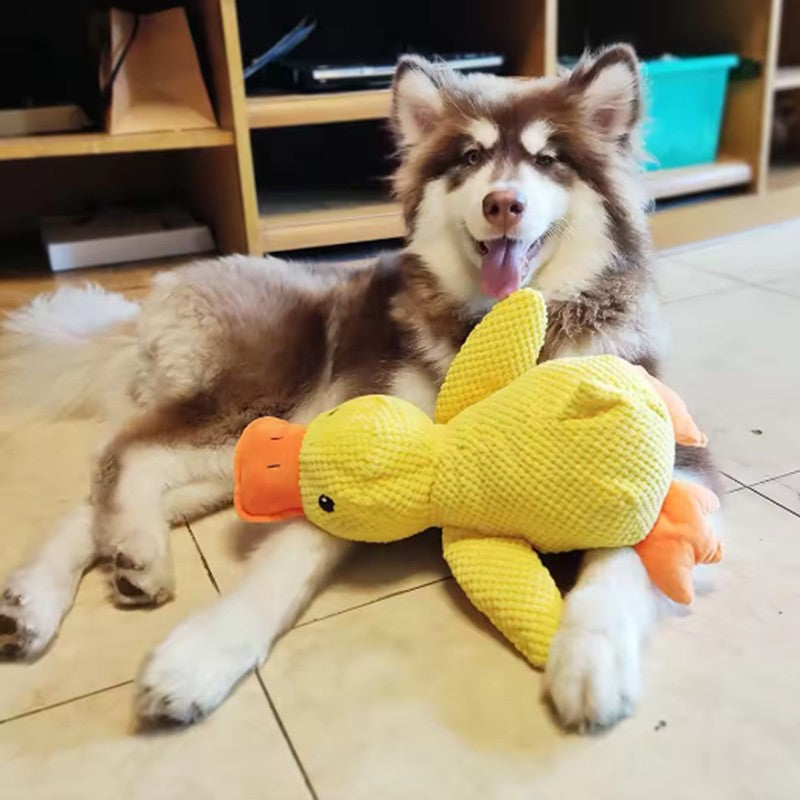 Pato de pelúcia para cães