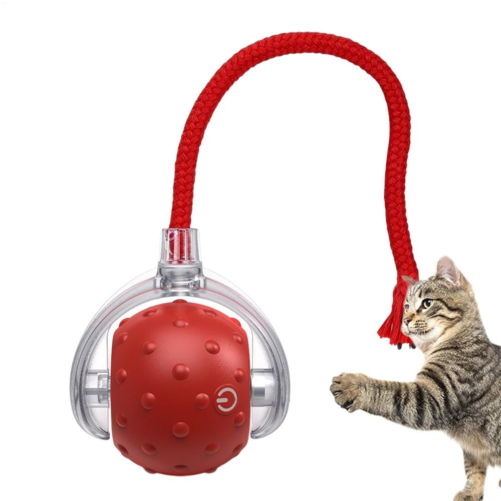 Bola Interativa Automática com Cordão para Gatos