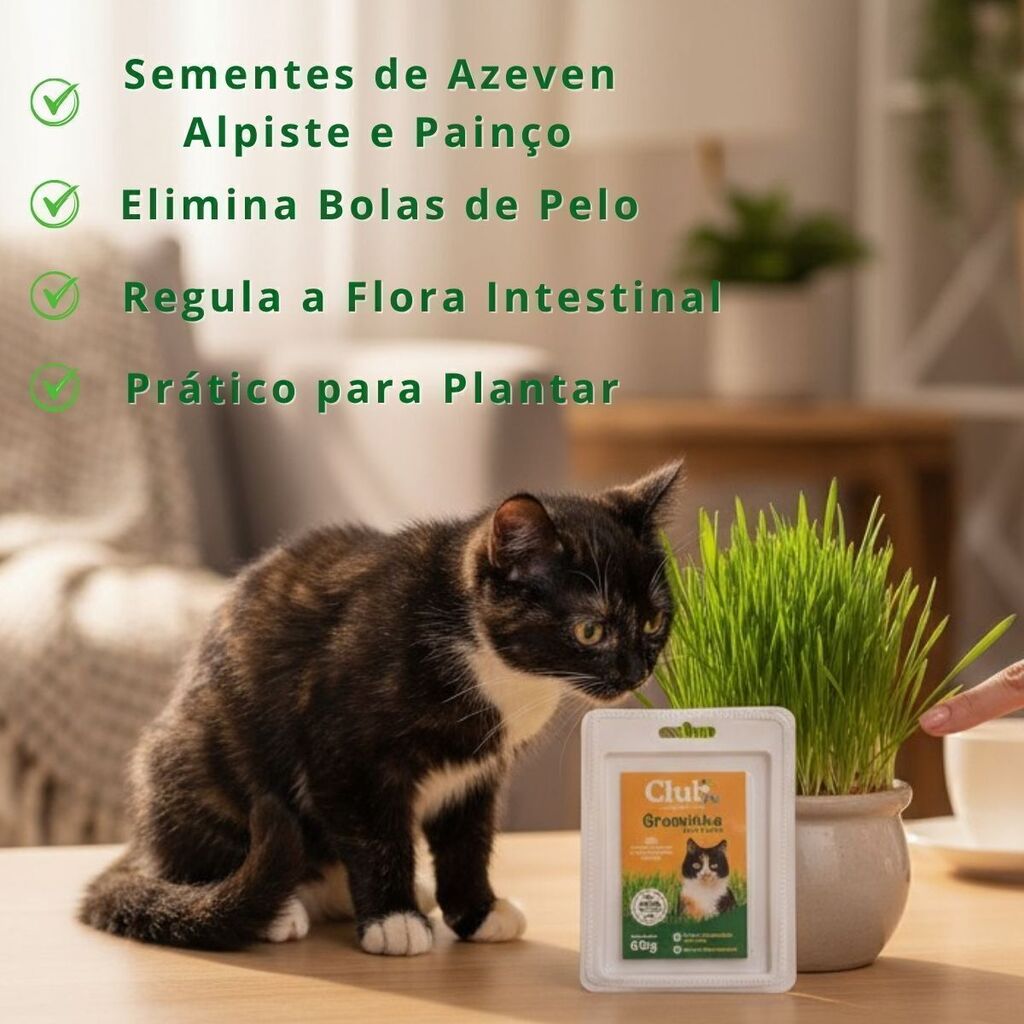 Graminha Gato 60g Auxilia Digestão e Anti Bola de Pelo
