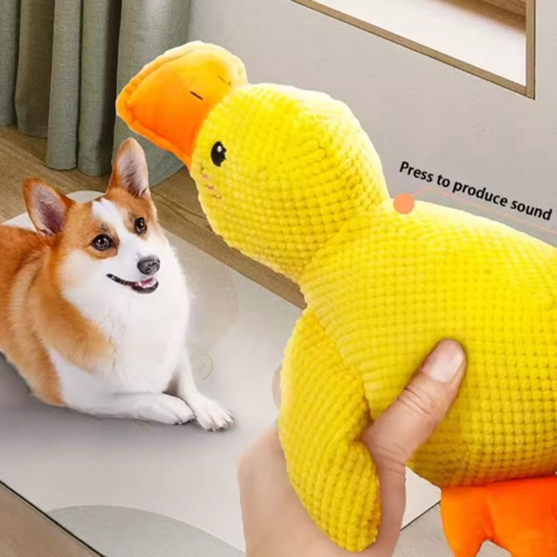 Pato de pelúcia para cães