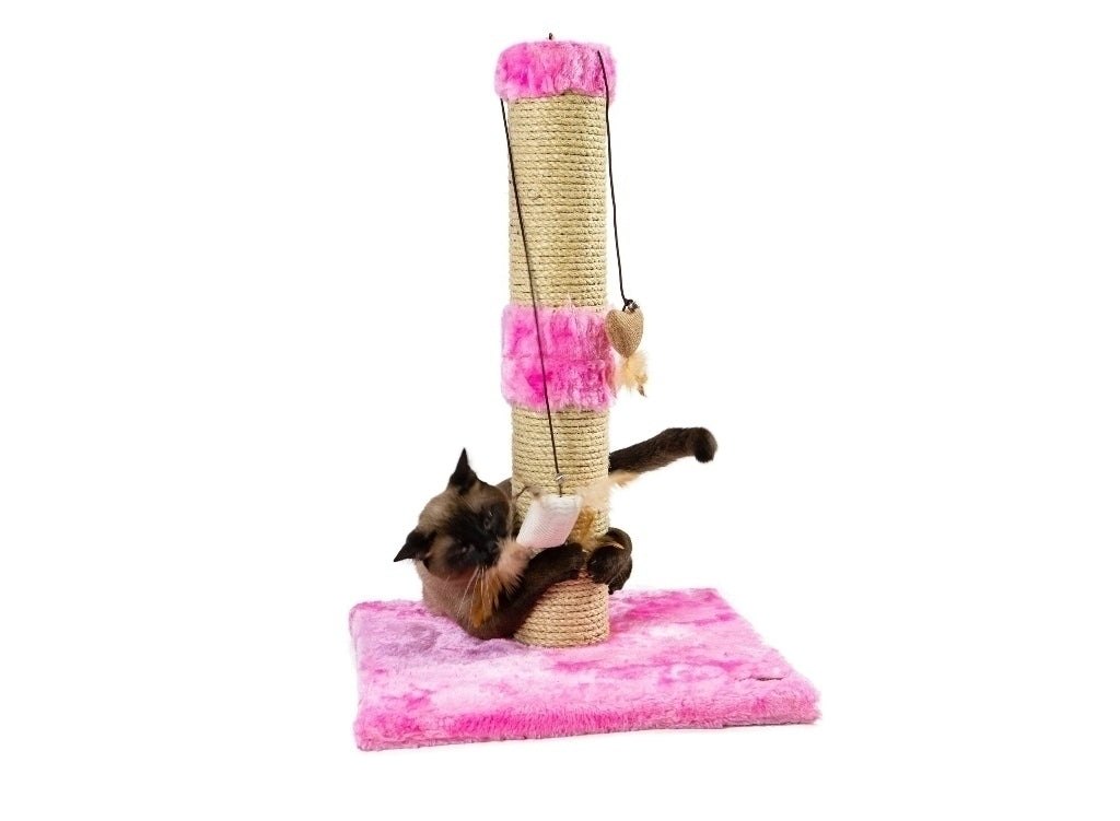 Arranhador Torre Resistente