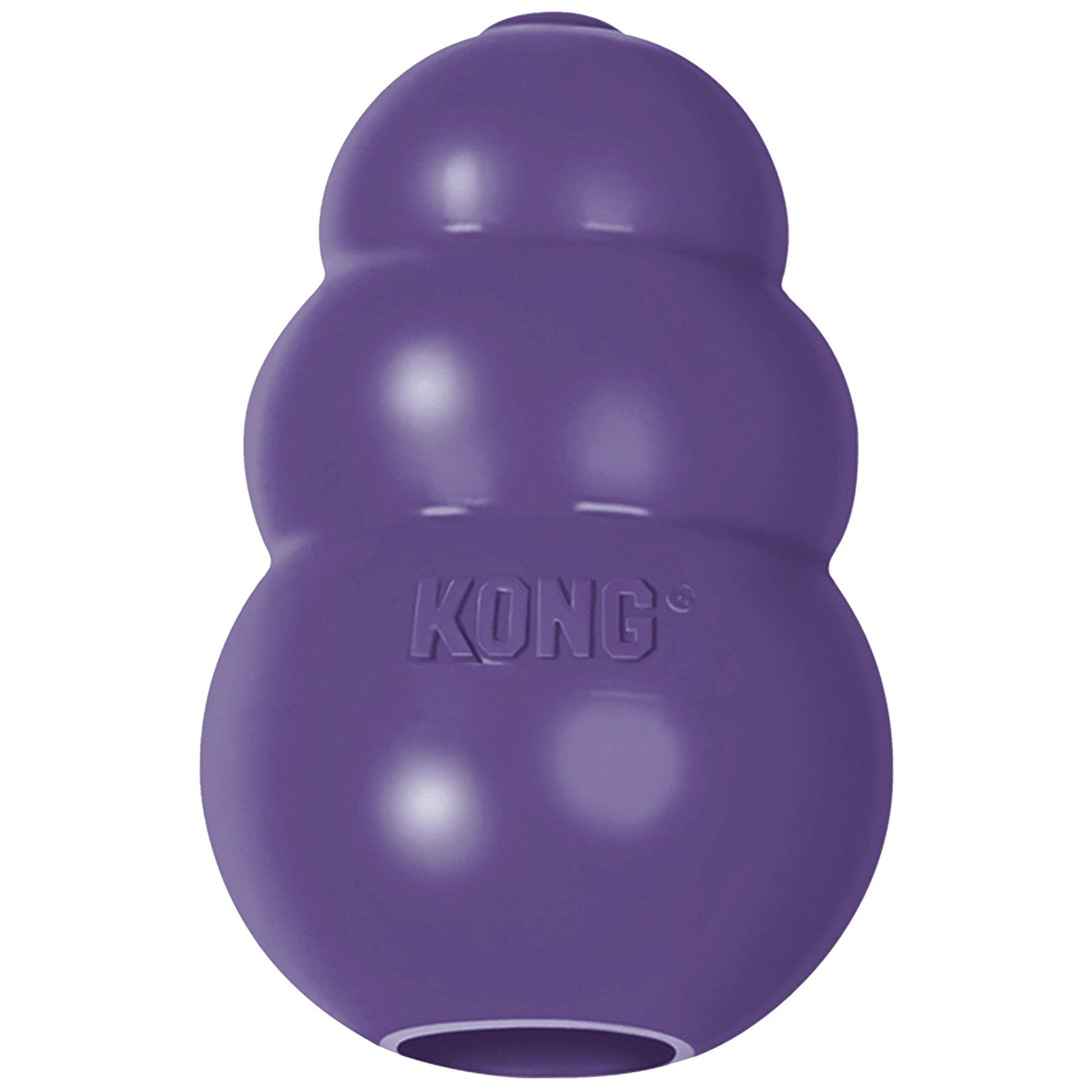Kong brinquedo interativo