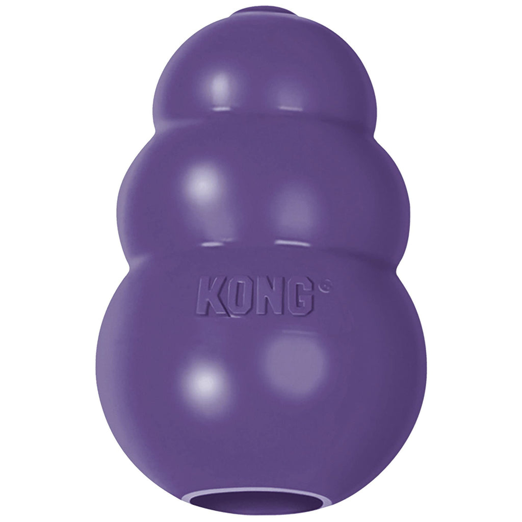 Kong brinquedo interativo