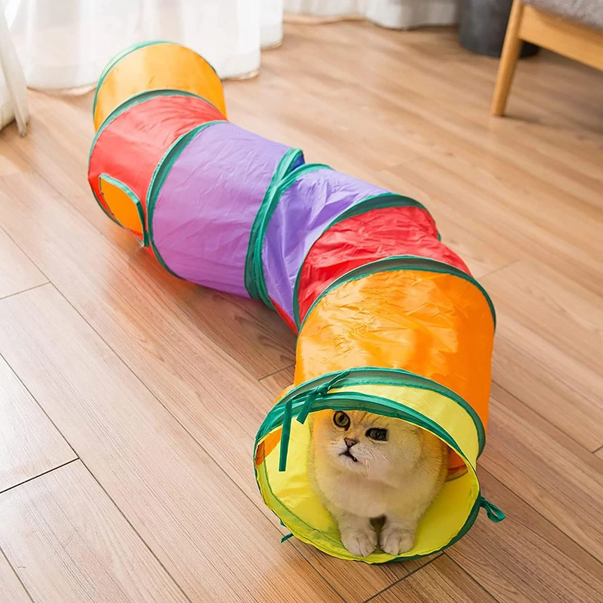 Tubo de túnel para gatos