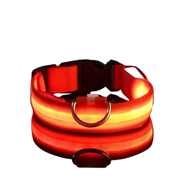 Coleira de LED para Pets