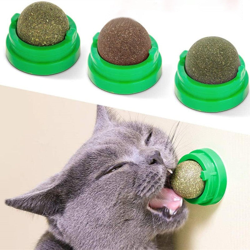 Catnip Natural em Bola