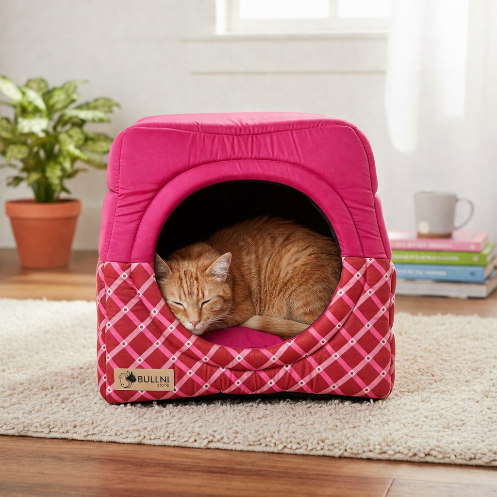 Toca Iglu Rosa Pet e Arranhador para Gatos Bullni Store