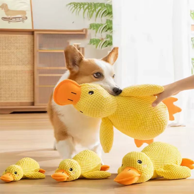 Pato de pelúcia para cães