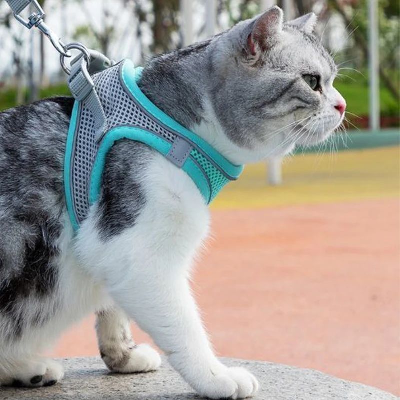 Coleira peitoral para pets
