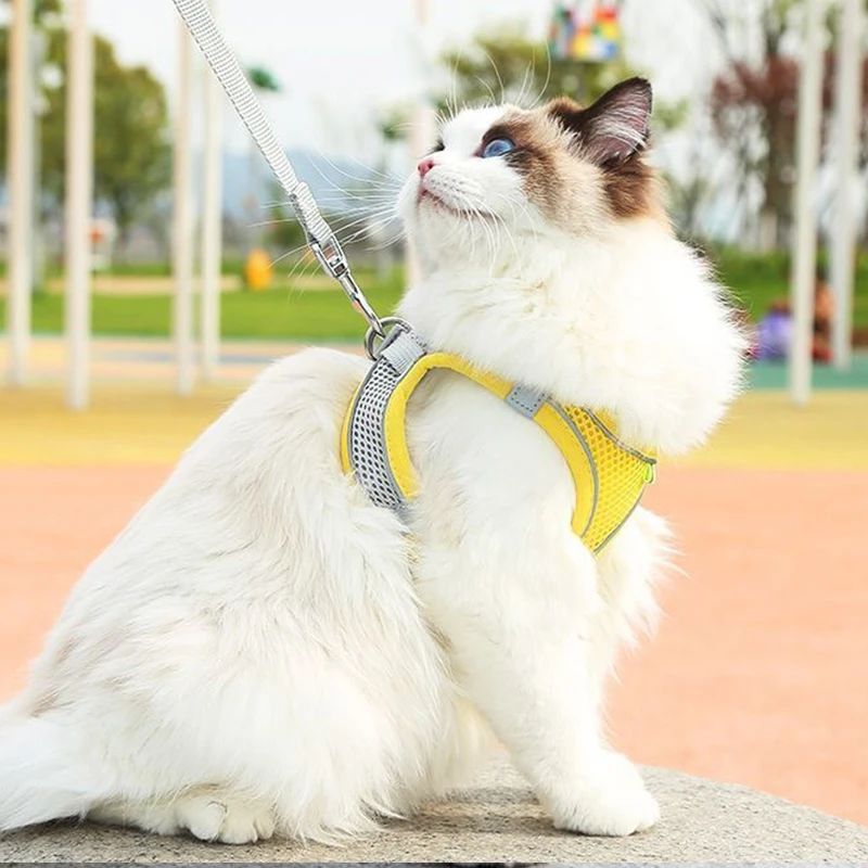 Coleira peitoral para pets