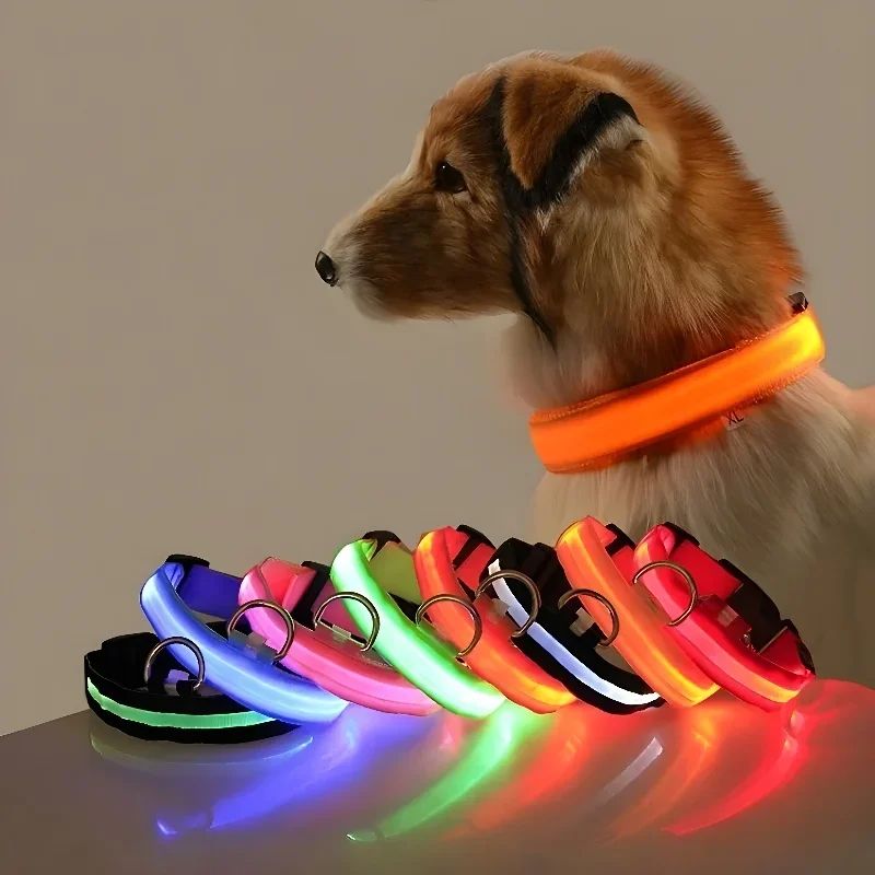 Coleira de LED para Pets