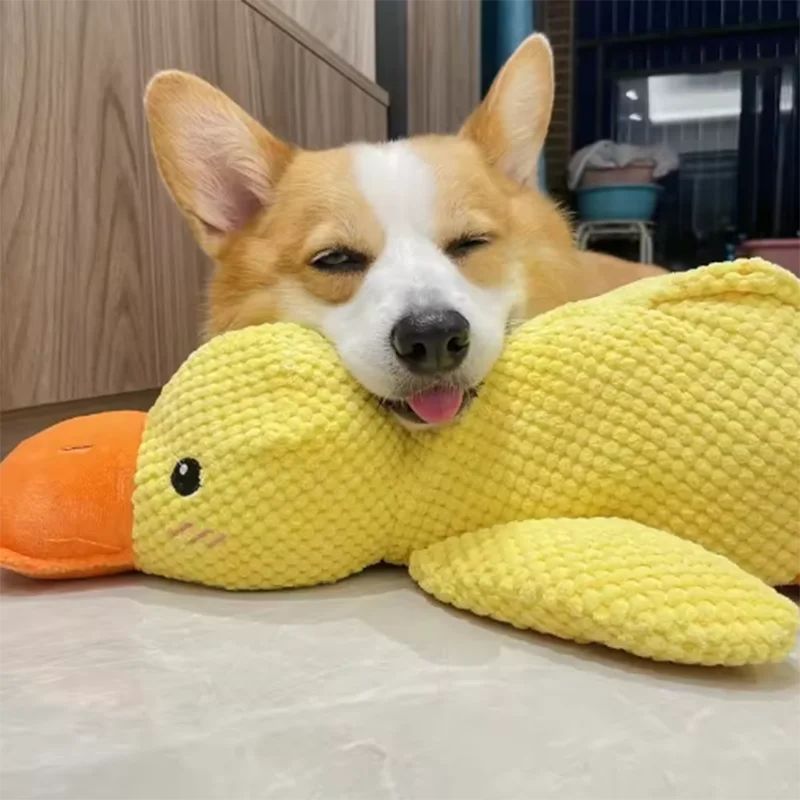 Pato de pelúcia para cães
