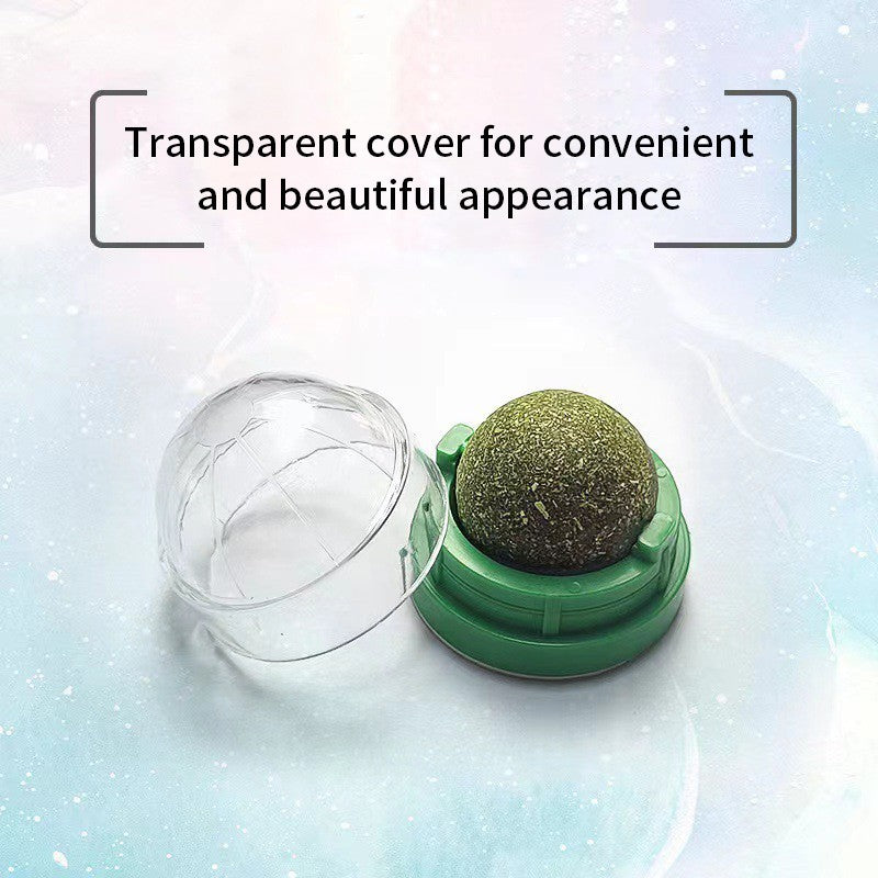 Catnip Natural em Bola