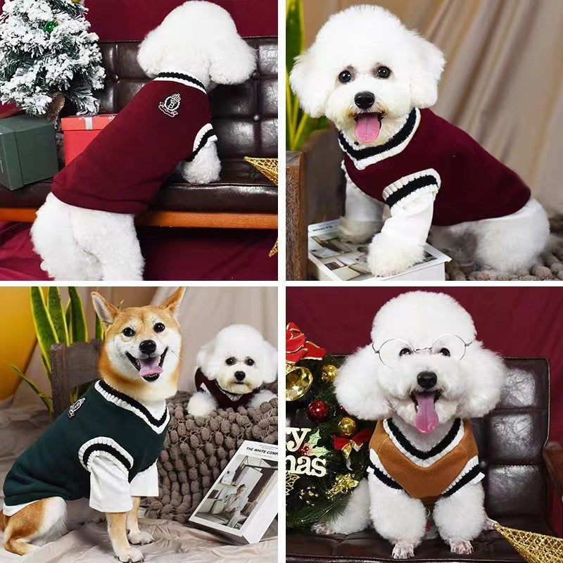Roupa universitária para cães