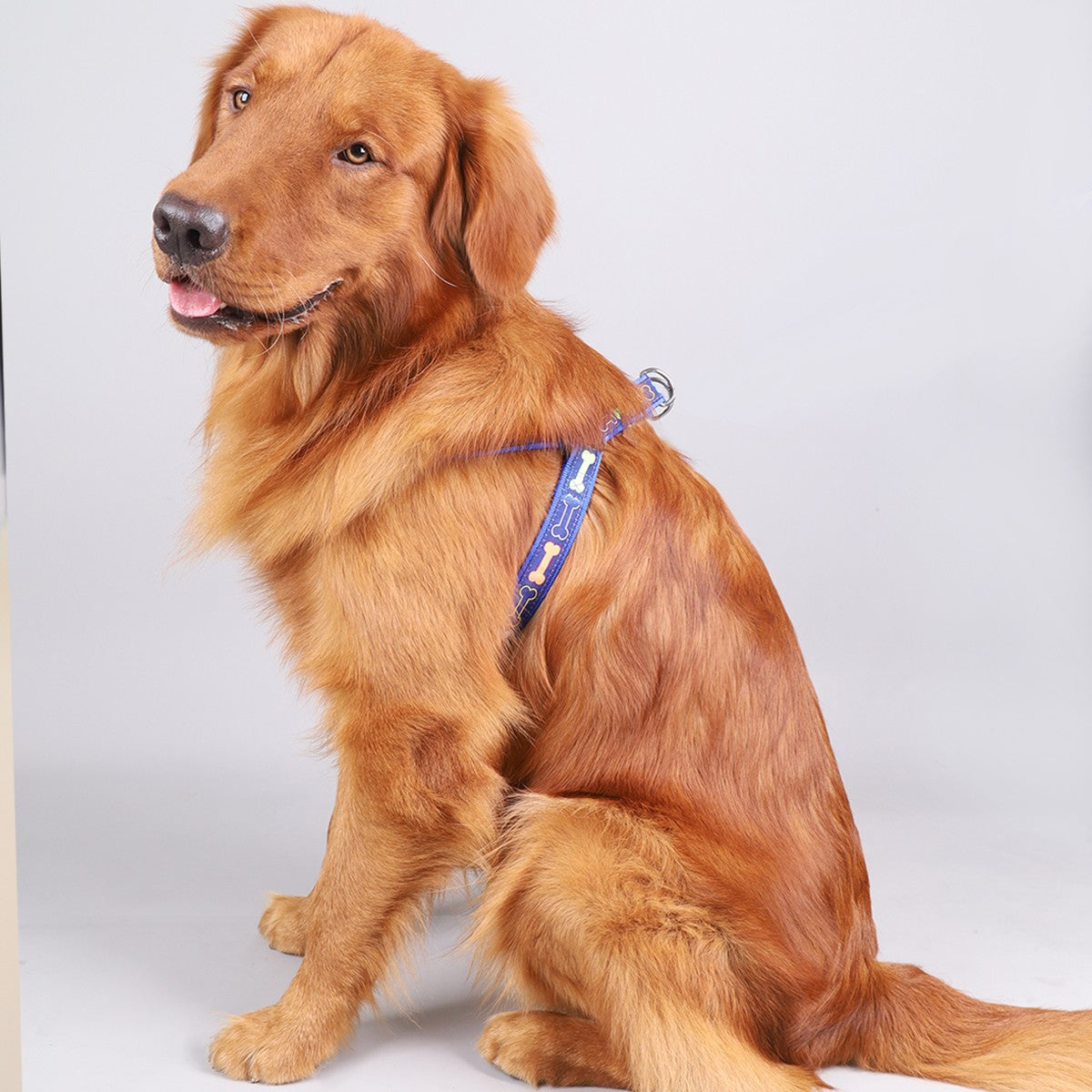 Peitoral Ajustável Estampado para Cães