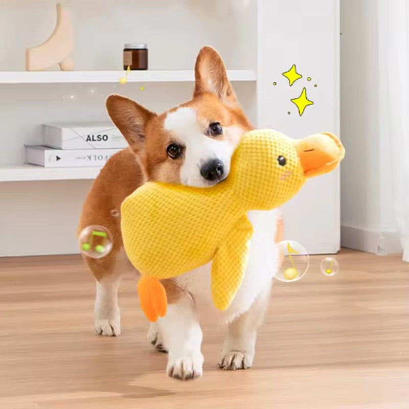 Pato de pelúcia para cães
