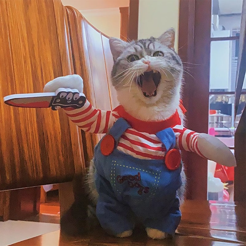 Roupa engraçada de cães e gatos halloween cosplay