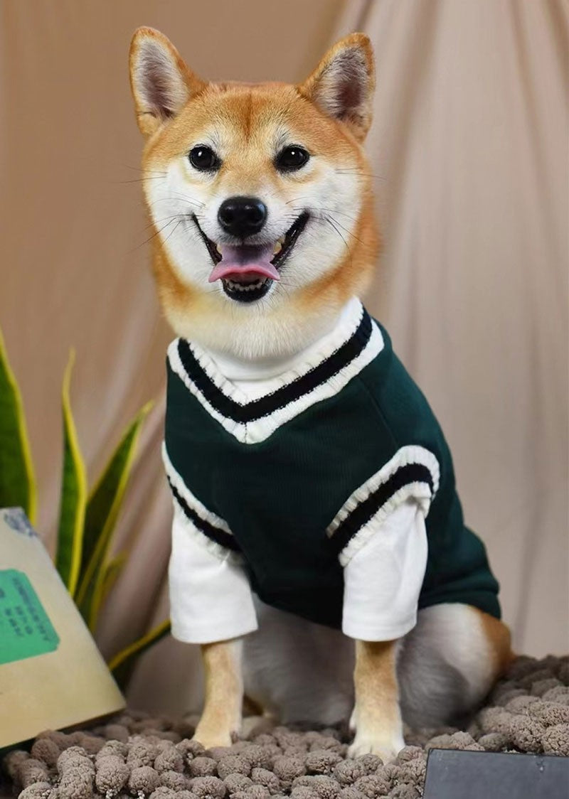 Roupa universitária para cães